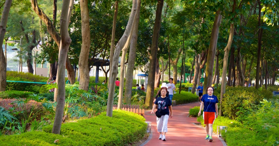 Las 10 mejores cosas para hacer en Causeway Bay